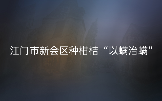 江门市新会区种柑桔“以螨治螨”