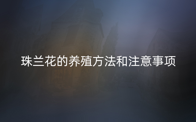 珠兰花的养殖方法和注意事项