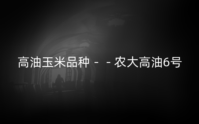 高油玉米品种－－农大高油6号