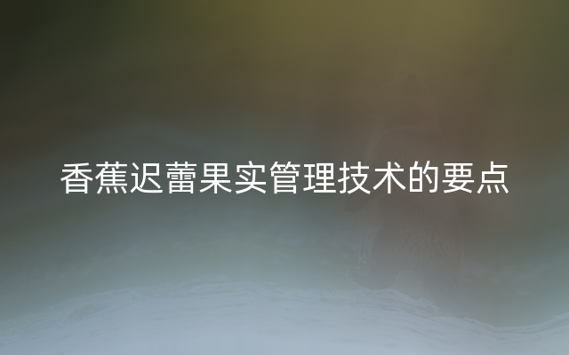 香蕉迟蕾果实管理技术的要点