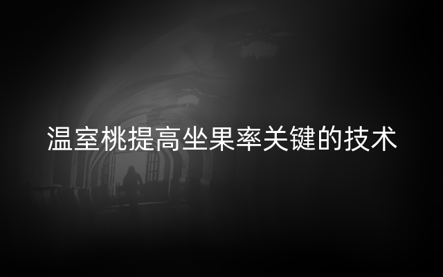 温室桃提高坐果率关键的技术