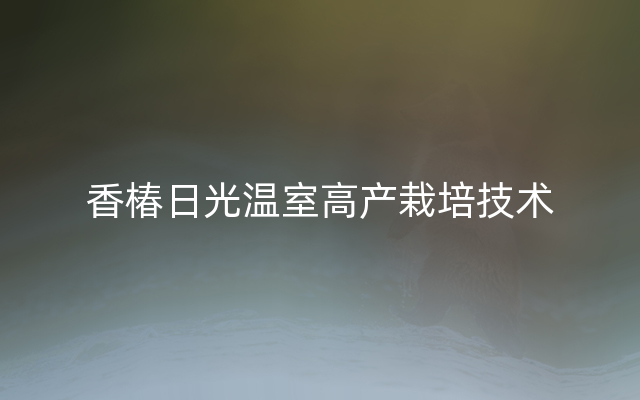 香椿日光温室高产栽培技术