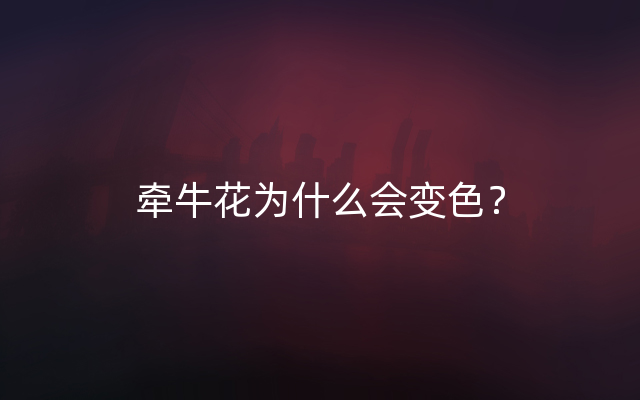 牵牛花为什么会变色？